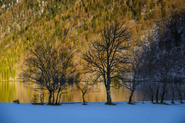 Nature and sketches near the lake Konigssee. Bavaria. Germany