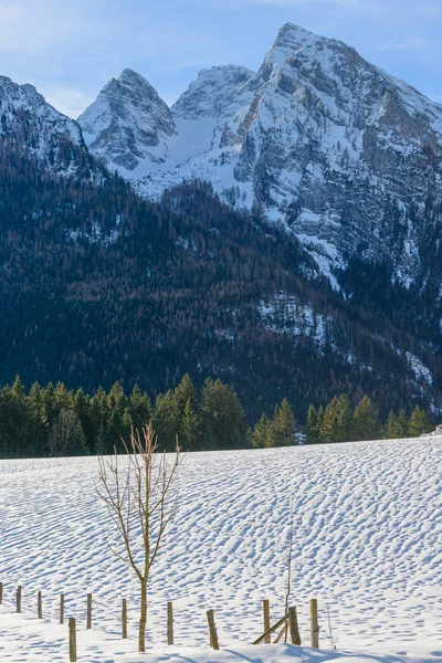 Paesaggio invernale vicino al lago Hintersee. Baviera. Paesi Bassi — Foto Stock
