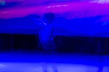 Dansta soyut hareket. Çocuk topluluğu. Moskova. Rusya