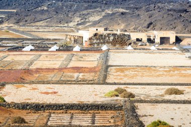 Salinas de janubio güzel bir manzara. Lanzarote. Kanarya Adaları. İspanya