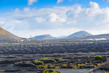Lanzarote adası diğer Kanarya Adaları arasında bir elmas
