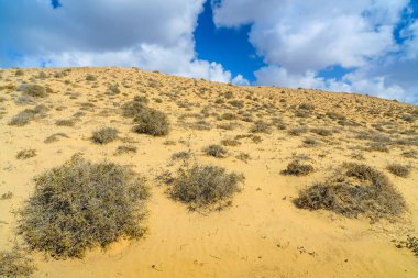 Lanzarote adası diğer Kanarya Adaları arasında bir elmas. İspanya