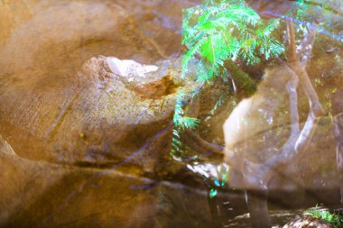 Lanzarote adası diğer Kanarya Adaları arasında bir elmas. İspanya