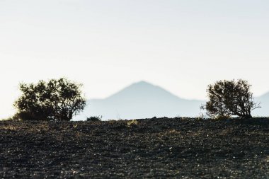 Lanzarote adası diğer Kanarya Adaları arasında bir elmas. İspanya