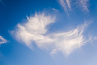 Lanzarote adası diğer Kanarya Adaları arasında bir elmas. İspanya