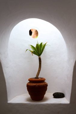 Lanzarote adası diğer Kanarya Adaları arasında bir elmas. İspanya