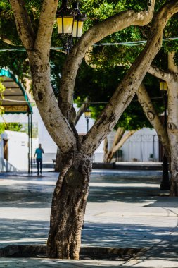 Lanzarote adası diğer Kanarya Adaları arasında bir elmas. İspanya
