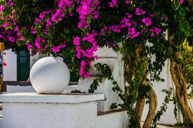 Lanzarote adası diğer Kanarya Adaları arasında bir elmas. İspanya