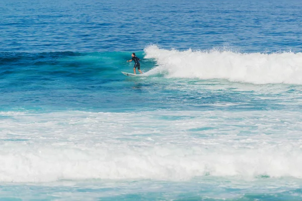 산타는 보드와 서핑을즐기기에 장소입니다 Lanzarote 카나리아 스페인 — 스톡 사진
