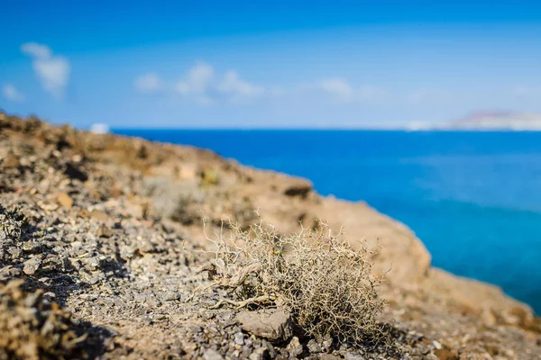 Lanzarote Szigete Egy Gyémánt Kanári Szigetek Között — Stock Fotó