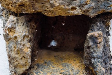 Lanzarote adası diğer Kanarya Adaları arasında bir elmas. İspanya