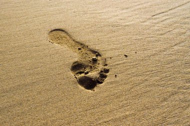 Lanzarote Kanarya takımadalarının inanılmaz, olağanüstü ve eşsiz bir adasıdır. İspanya