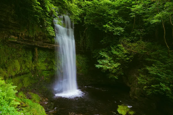 アイルランドは世界で最も美しい国の一つです それはしばしばそのユニークな自然景観のためにエメラルド島と呼ばれています — ストック写真