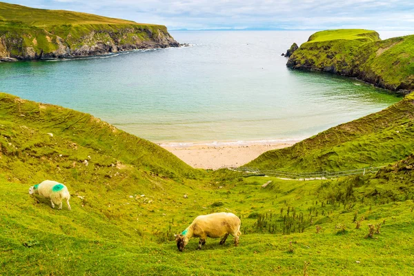 Irlanda Uno Los Países Más Bellos Del Mundo Menudo Llama — Foto de Stock