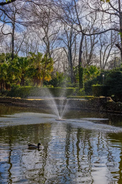 Damm med fontän i parken Maria Louise. Sevilla. Andalus — Stockfoto
