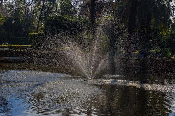 Damm med fontän i parken Maria Louise. Sevilla. Andalus — Stockfoto