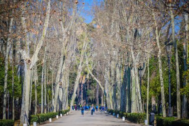 Mary Louise.Seville parkında ilginç bir skeç. Andalu