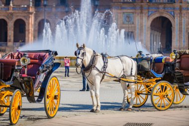 Spain.Seville Meydanı'nda ilginç skeçler. Endülüs. S