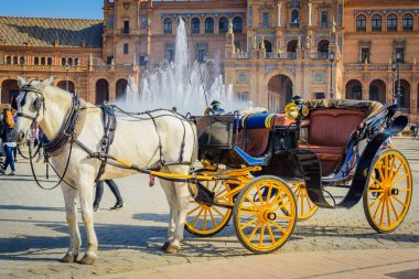 Spain.Seville Meydanı'nda ilginç skeçler. Endülüs. S