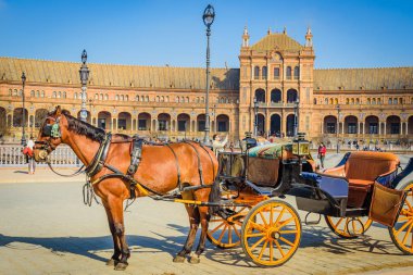 Spain.Seville Meydanı'nda ilginç skeçler. Endülüs. S