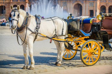 Spain.Seville Meydanı'nda ilginç skeçler. Endülüs. S