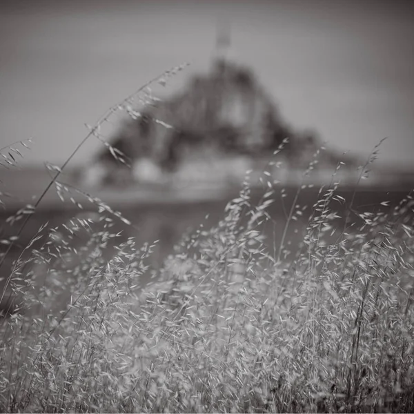 Abdij van Mont Saint Michel in monochrome kleur. Normandië. Frankrijk — Stockfoto