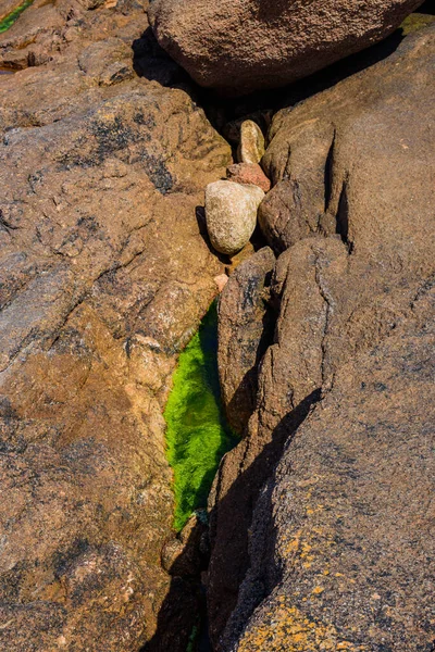 Pietre rosa granito e alghe verdi sulla costa vicino a Plumanak — Foto Stock