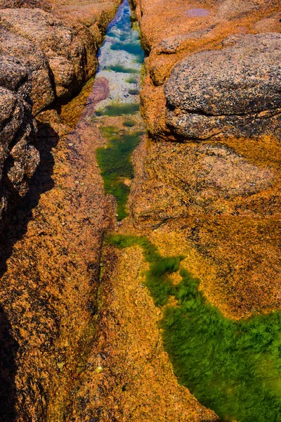 Pedras de granito rosa e algas verdes na costa perto de Plumanak — Fotografia de Stock