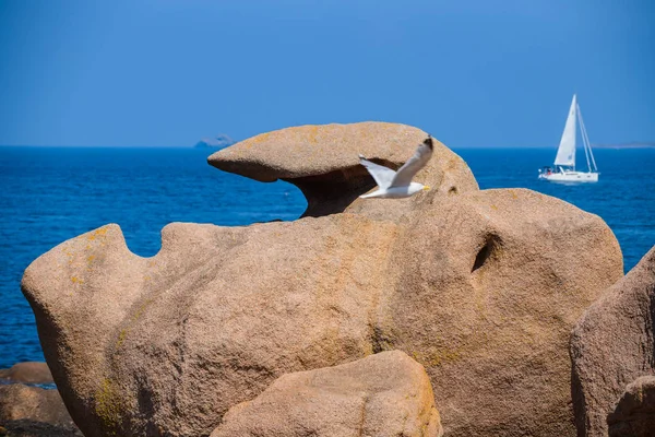 Seascape with huge pink granite boulders near Plumanach. The coa — Stock Photo, Image