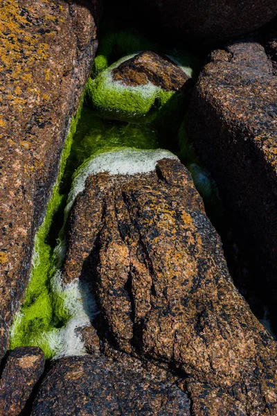 Pedras de granito rosa e algas verdes na costa perto de Plumanak — Fotografia de Stock