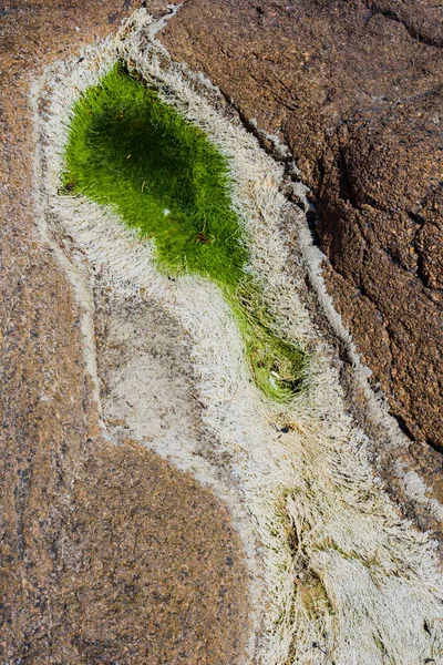 Pedras de granito rosa e algas verdes na costa perto de Plumanak — Fotografia de Stock