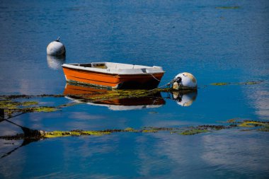 Güneşli bir günde küçük balıkçı teknesi. Brittany, ne kadar. Fransa