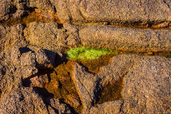 Pedras de granito rosa e algas verdes na costa perto de Plumanak — Fotografia de Stock