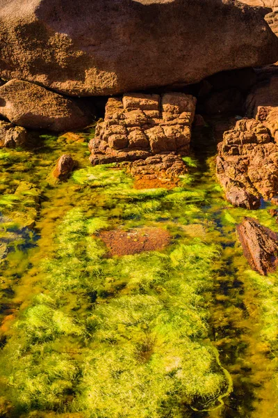 Pedras de granito rosa e algas verdes na costa perto de Plumanak — Fotografia de Stock