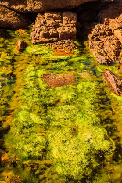 Pedras de granito rosa e algas verdes na costa perto de Plumanak — Fotografia de Stock