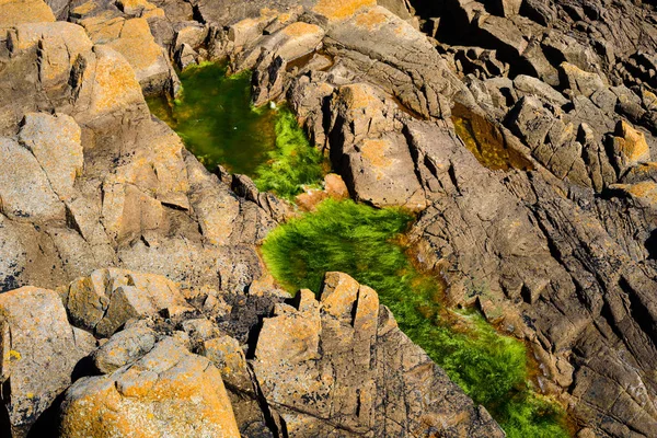 Uma incrível costa oceânica perto de Plougrescant. Brittany. França — Fotografia de Stock