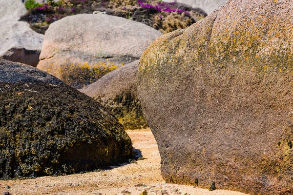 Невероятный пейзаж на острове Реноте в Трехеле. Бриттани — стоковое фото