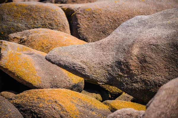 Paysage incroyable sur l'île Renote dans le Tregastel. Bretagne — Photo