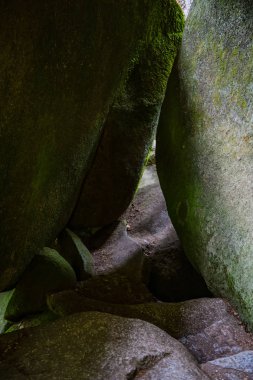 Huelgoat ormanı Le Menage de la Vierge. Brittany, ne kadar. Fransa