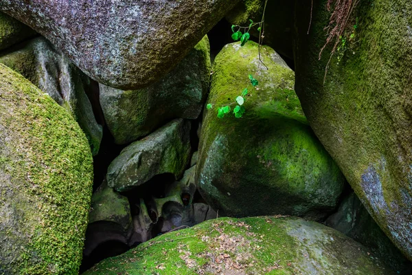 A huelgoat erdő le Menage de La Vierge. Bretagne. Franciaország — Stock Fotó