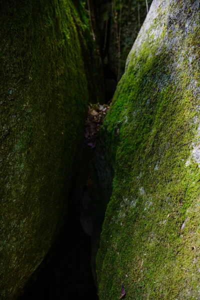 A huelgoat erdő le Menage de La Vierge. Bretagne. Franciaország — Stock Fotó