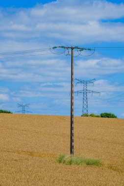 Sarı tarlalı ve mavi gökyüzü olan manzara. Brittany. Fransa
