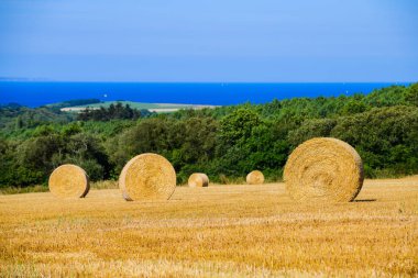 Sapkın samanlığı olan bir manzara. Brittany. Fransa