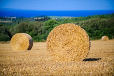 Sapkın samanlığı olan bir manzara. Brittany. Fransa