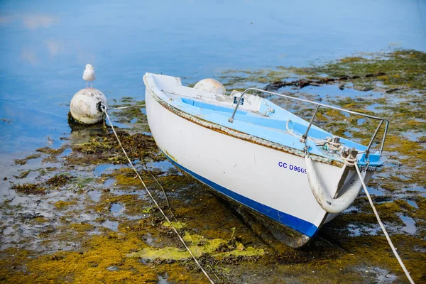 Μια μικρή ψαρόβαρκα σε μια ηλιόλουστη μέρα. Βρετάνη. Γαλλία — Φωτογραφία Αρχείου