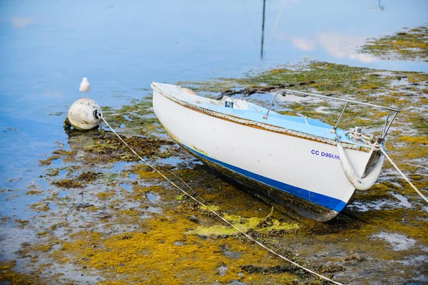 Liten fiskebåt en solig dag. Bretagne. Frankrike — Stockfoto