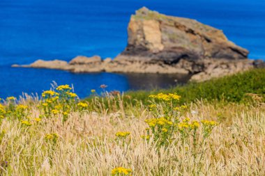 Crozon Yarımadası 'nda inanılmaz bir deniz manzarası var. Finister. Britanya..