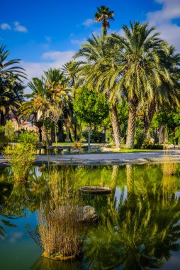 Şehir Parkı. Elche, Alicante vilayeti. İspanya