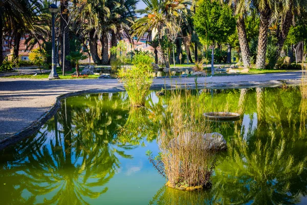 Stadtpark Elche Provinz Alicante Spanien — Stockfoto