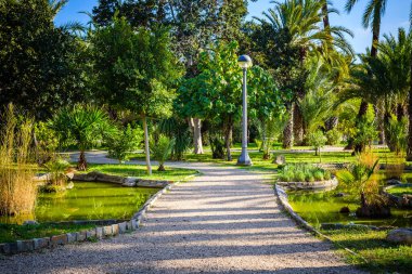 Şehir Parkı. Elche, Alicante vilayeti. İspanya